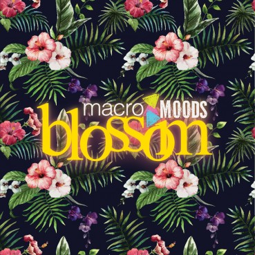 Spotify – Blossom