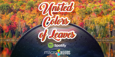 Spotify – United Colors of Leaves