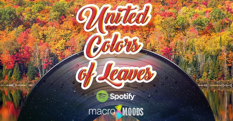 Spotify – United Colors of Leaves