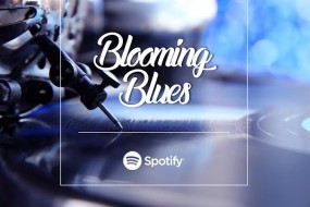 Spotify – Blooming Blossom
