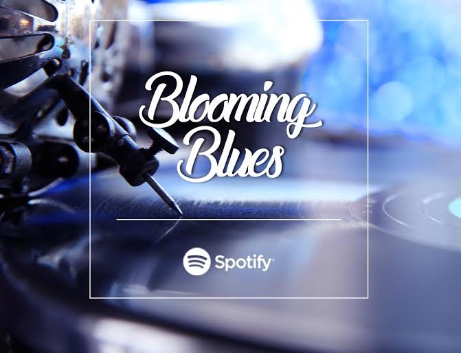 Spotify – Blooming Blossom